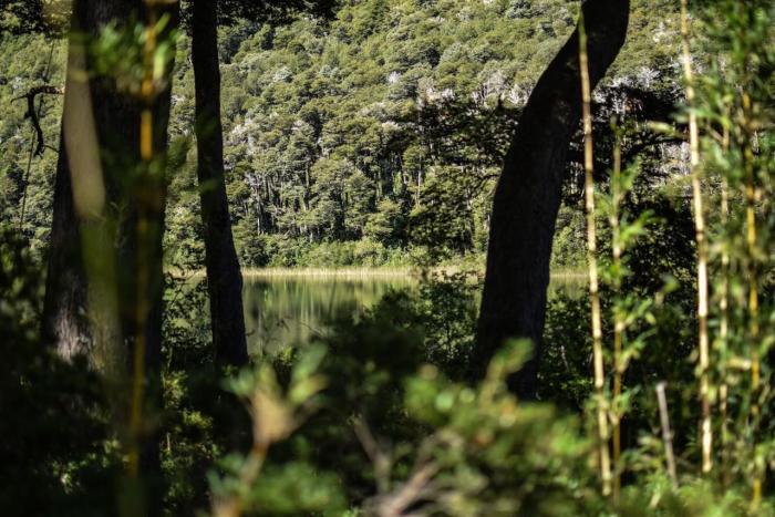 WhatsApp Image 2019-04-11 at 00.38.56(1)