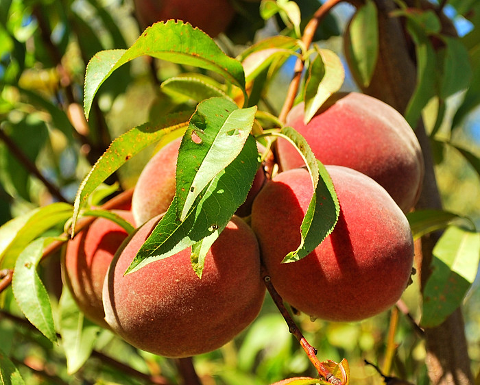 8654152538_012b9db08b_b